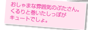 ������܂ȕ��͋C�̂Ԃ�����B�����Ɗ����������ۂ��L���[�g�ł���B