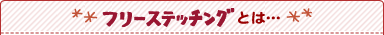 �t���[�X�e�b�`���O�Ƃ́c