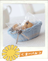 オーバル（楕円形）