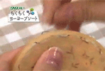 �����������[���[�v���[�g
