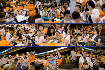 �t�@���̊F����